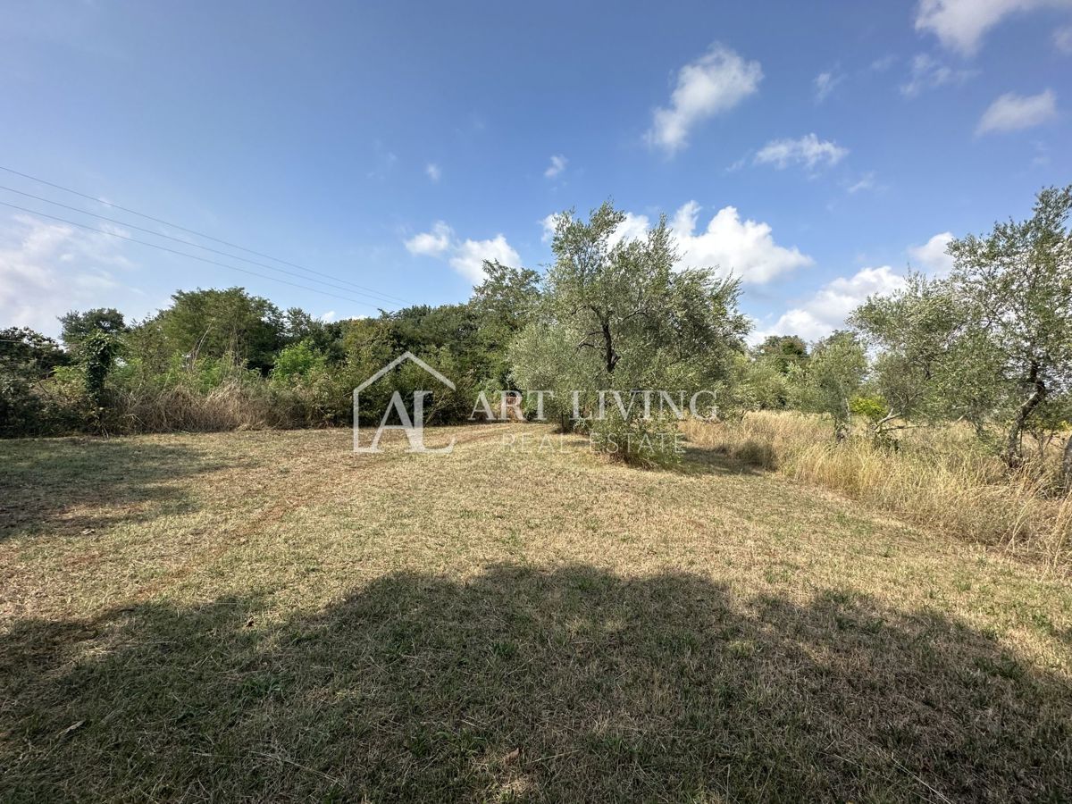 Umag, okolica – Hiša za prenovo z veliko parcelo velikosti 2000 m² – 2