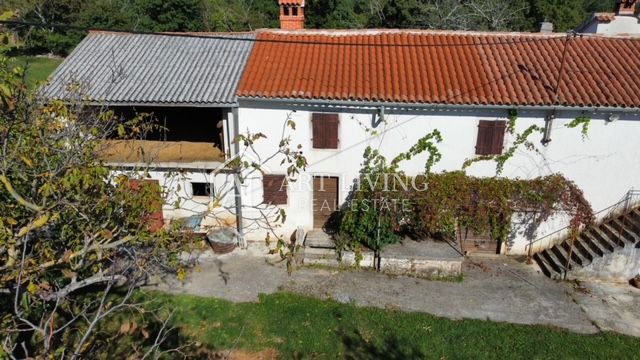 Žminj - okolica, avtohtono istrsko posestvo v središču Istre – 3