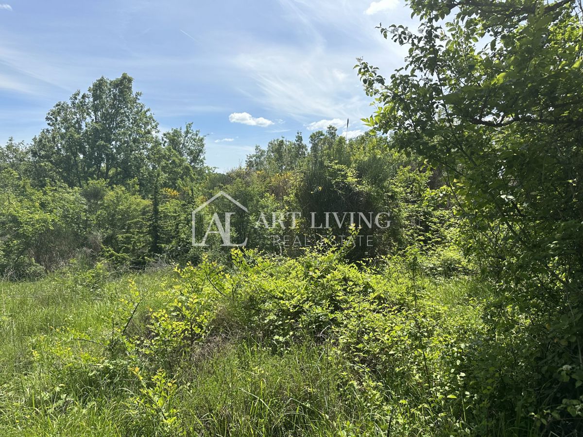 Istra, Buje, Kaštel – kmetijsko zemljišče velikosti 37.200 m² z agrogozdarsko študijo. – 2