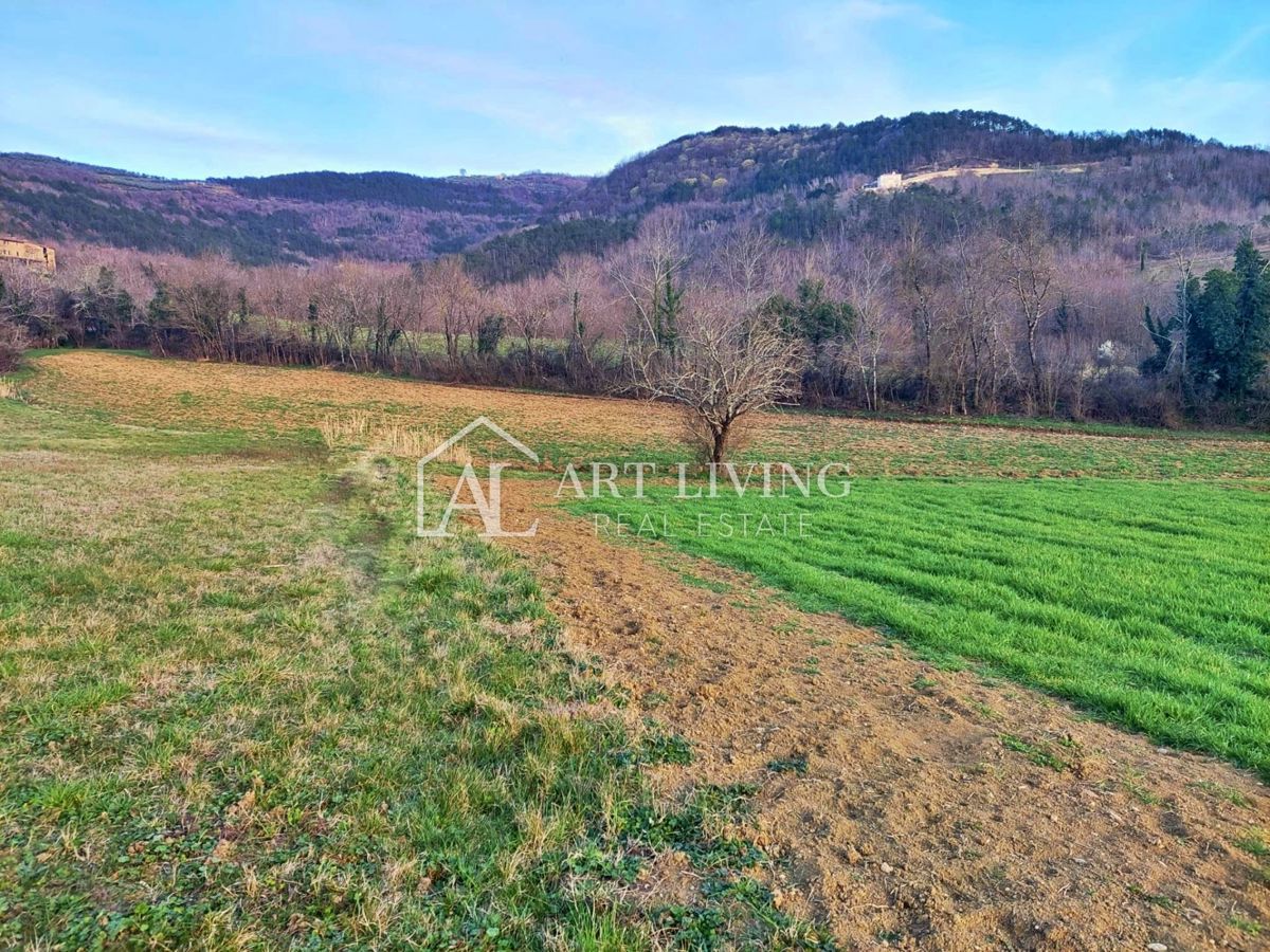 MOTOVUN