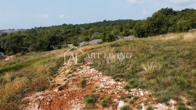 Brtonigla - okolica, atraktivno građevinsko zemljište na idiličnoj mirnoj lokaciji – 3