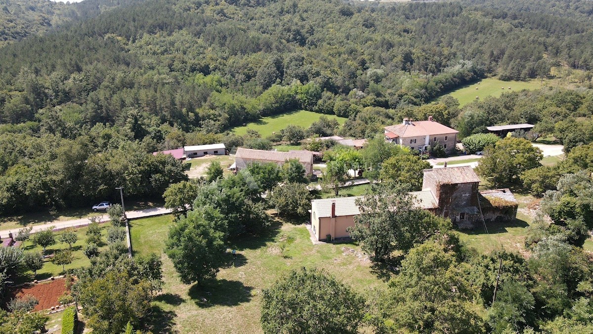 MARTINČIĆI