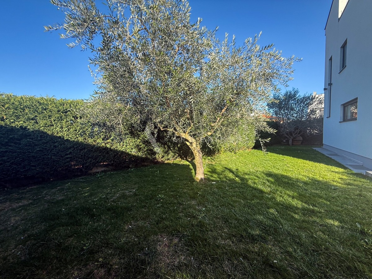 image 35
