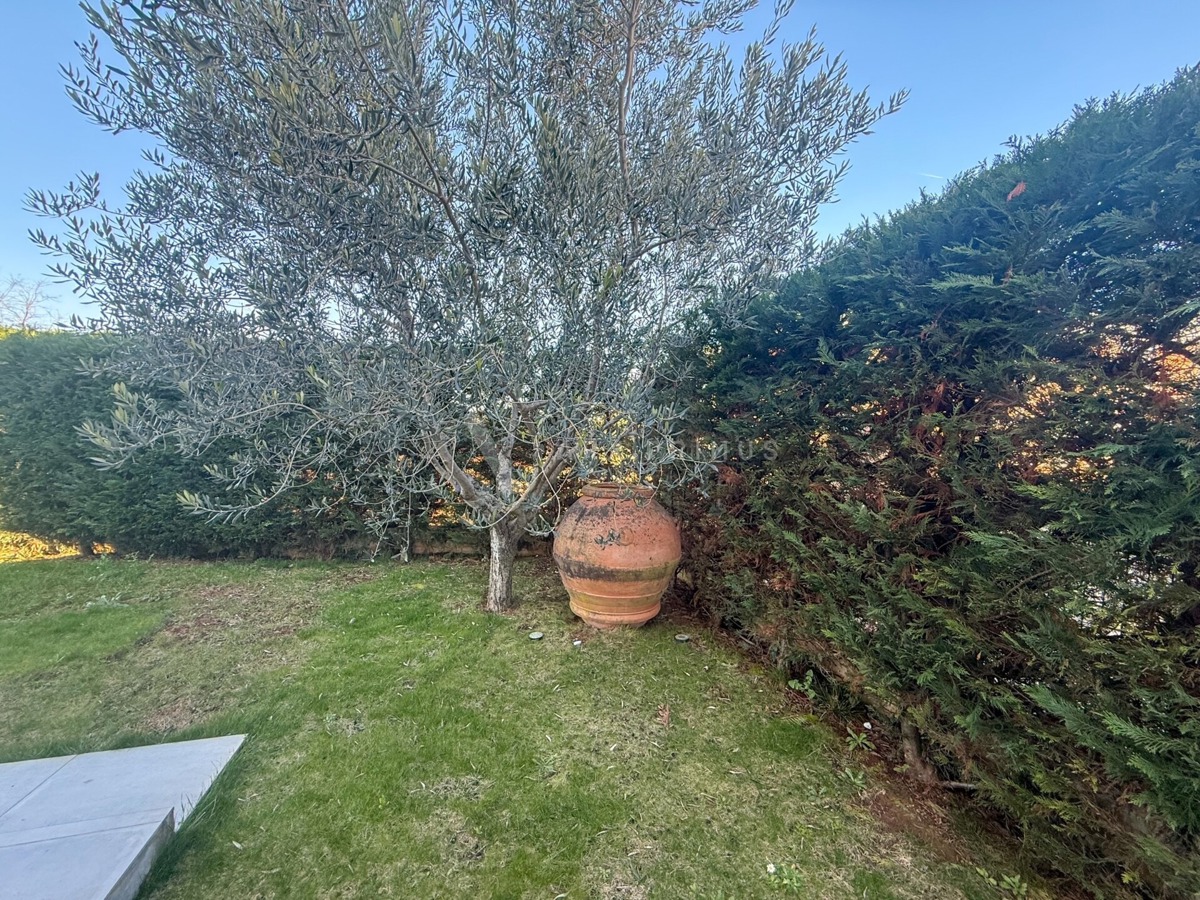 image 33