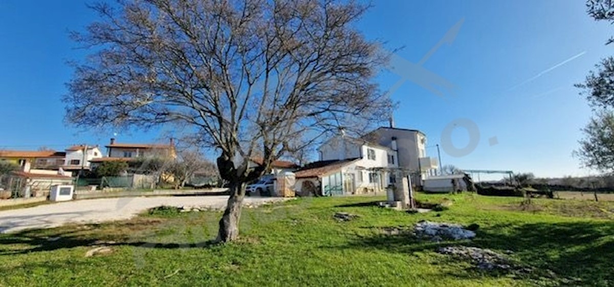 UMAG
