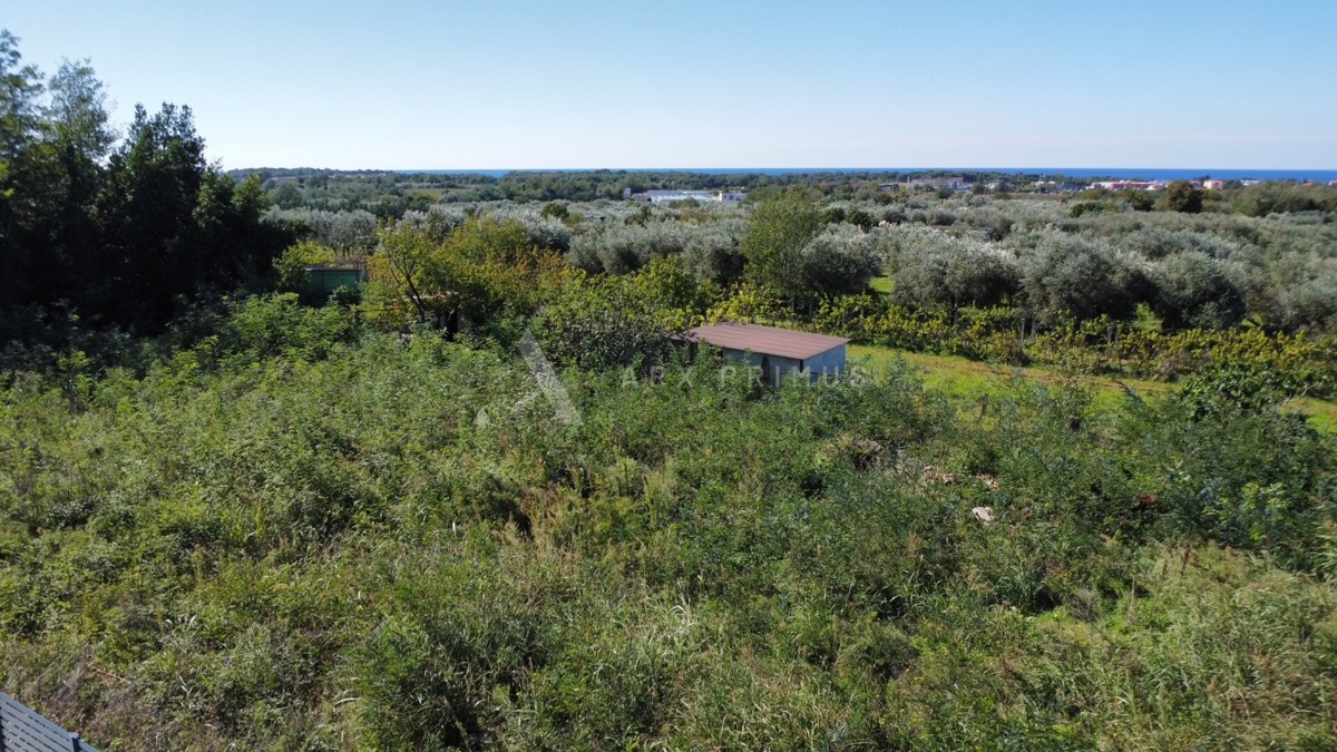 Terreno UMAG, 280.000 €