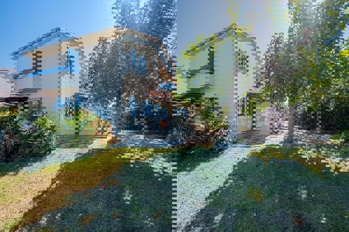 BANJOLE