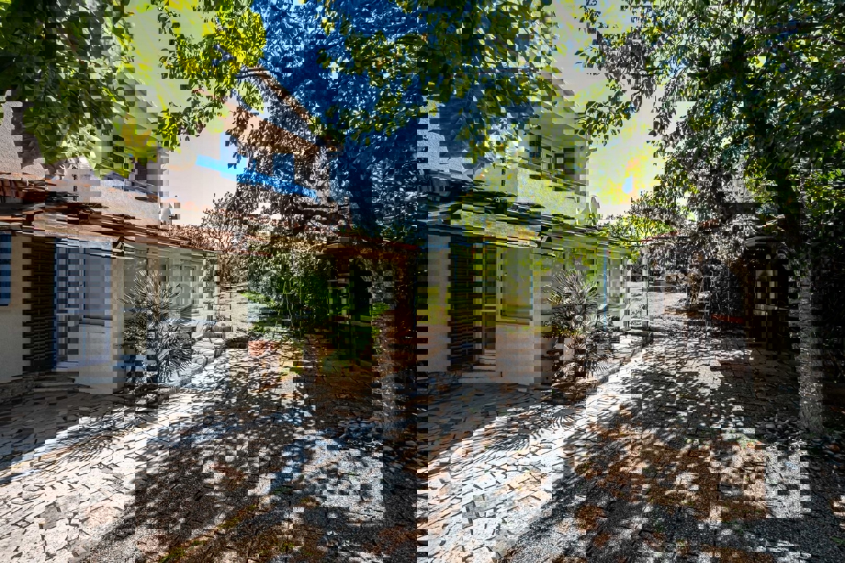 BANJOLE