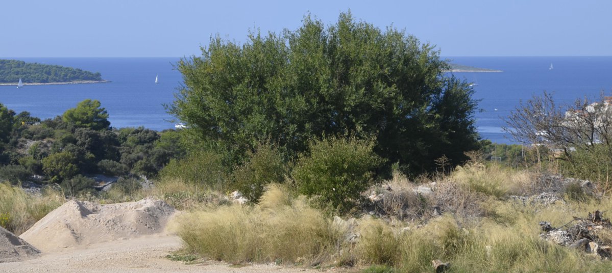 PRIMOŠTEN