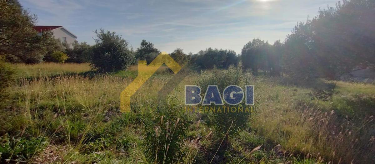 BIBINJE