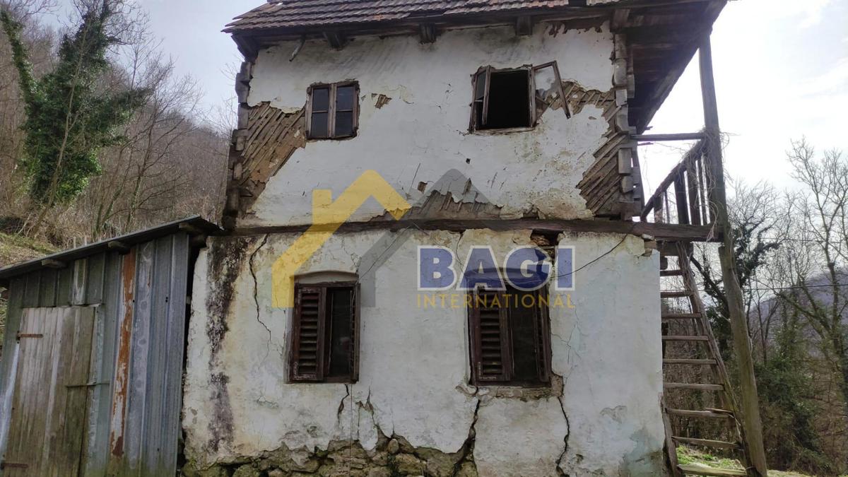 BEDNJA