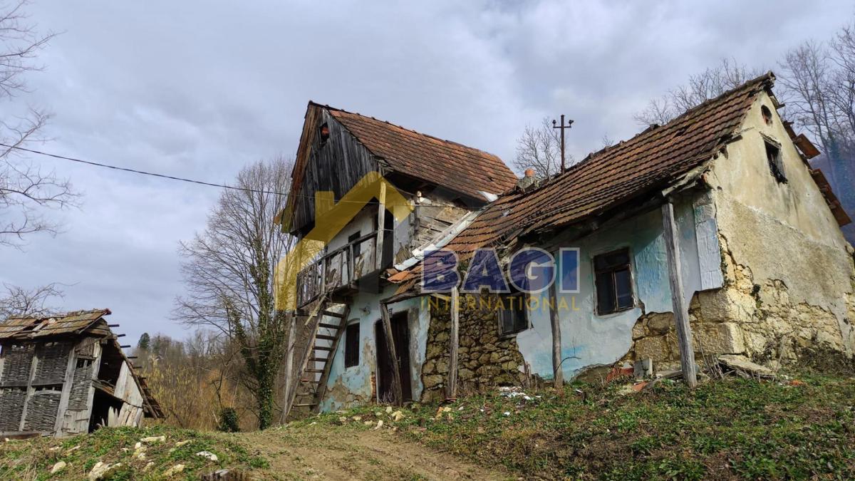 BEDNJA