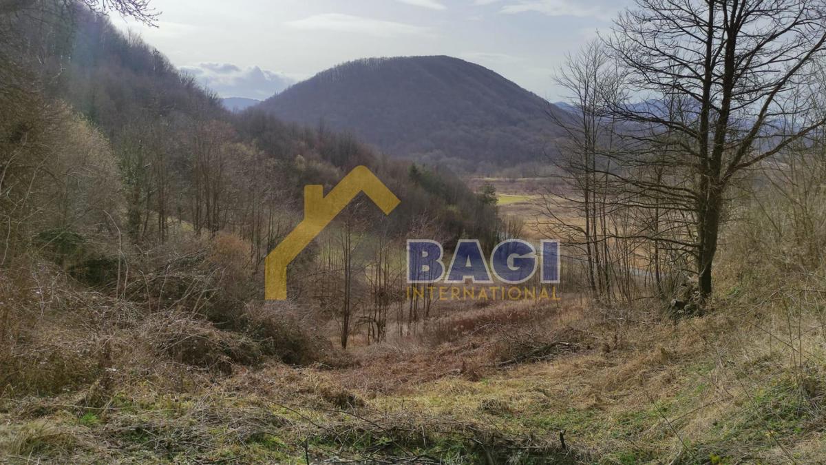 BEDNJA