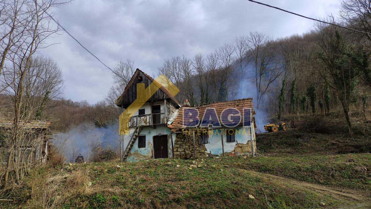 BEDNJA