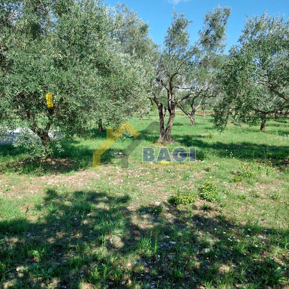 Terreno SVETVINČENAT, 60.000 €