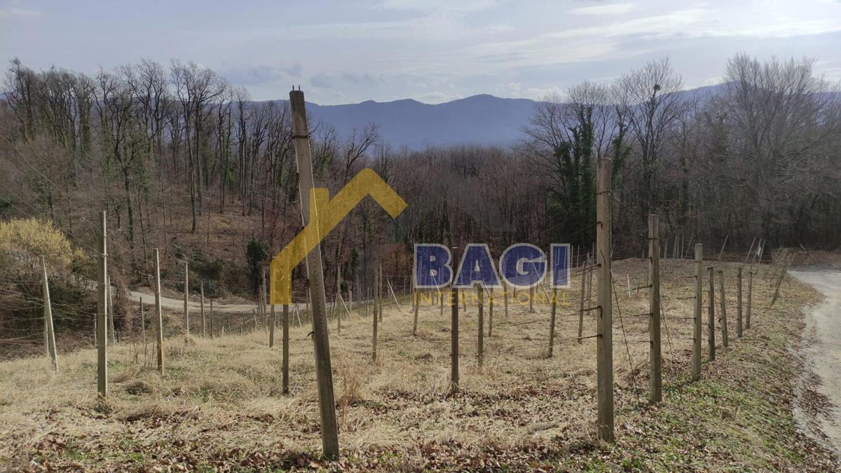 BEDNJA