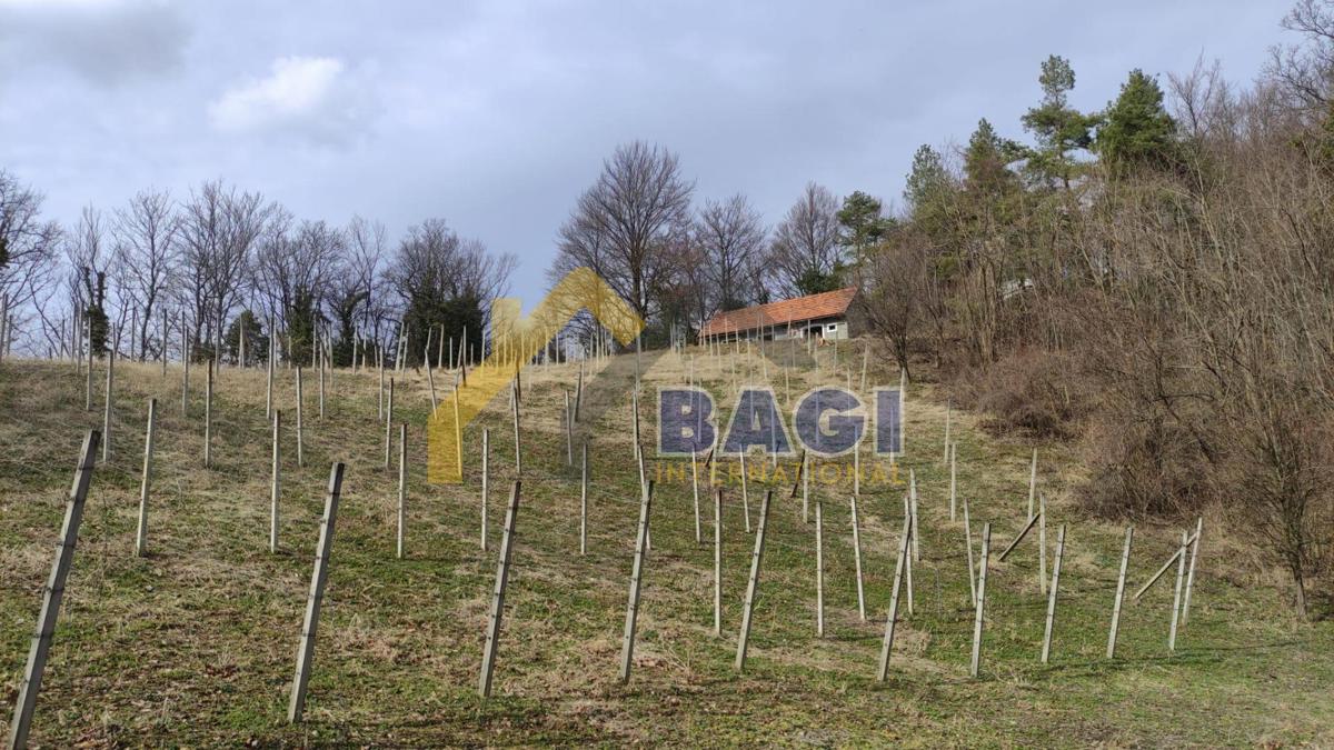 BEDNJA