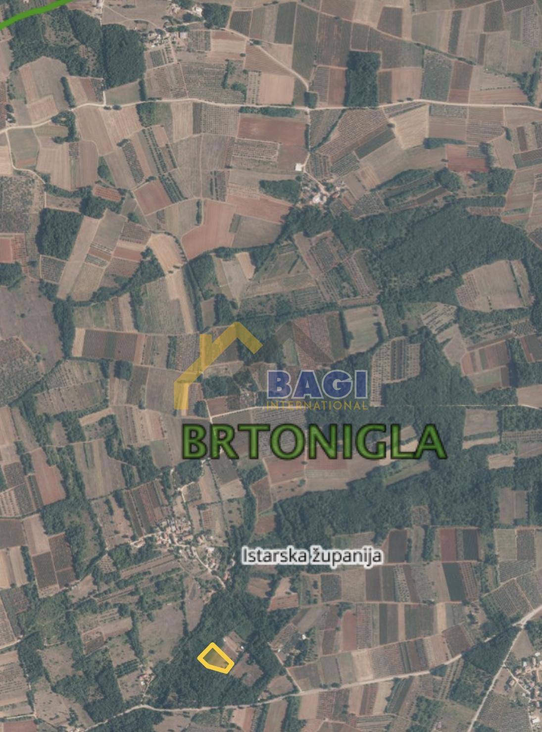 BRTONIGLA