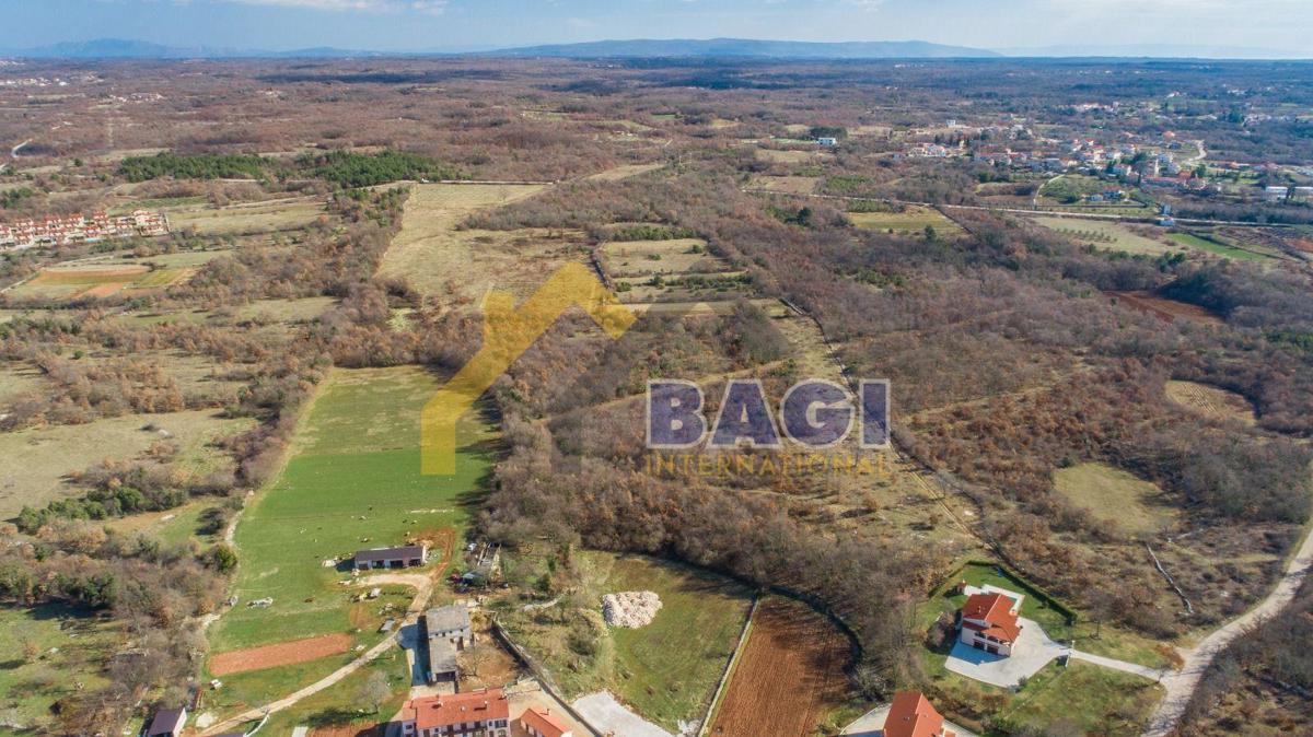 ČABRUNIĆI