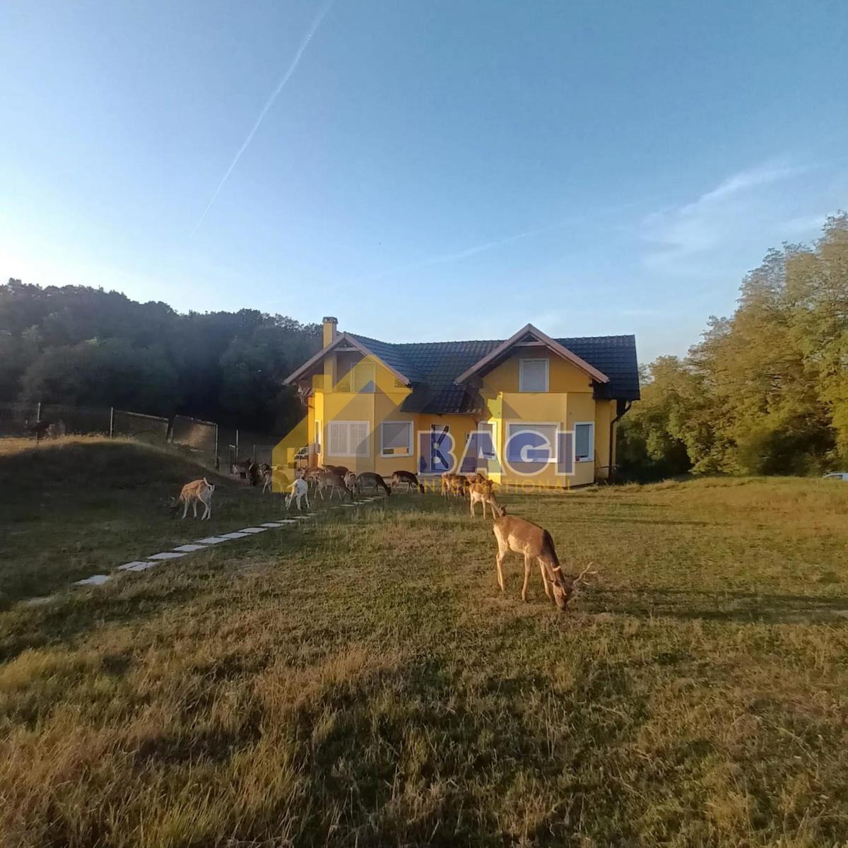 DONJI PRNJAROVEC