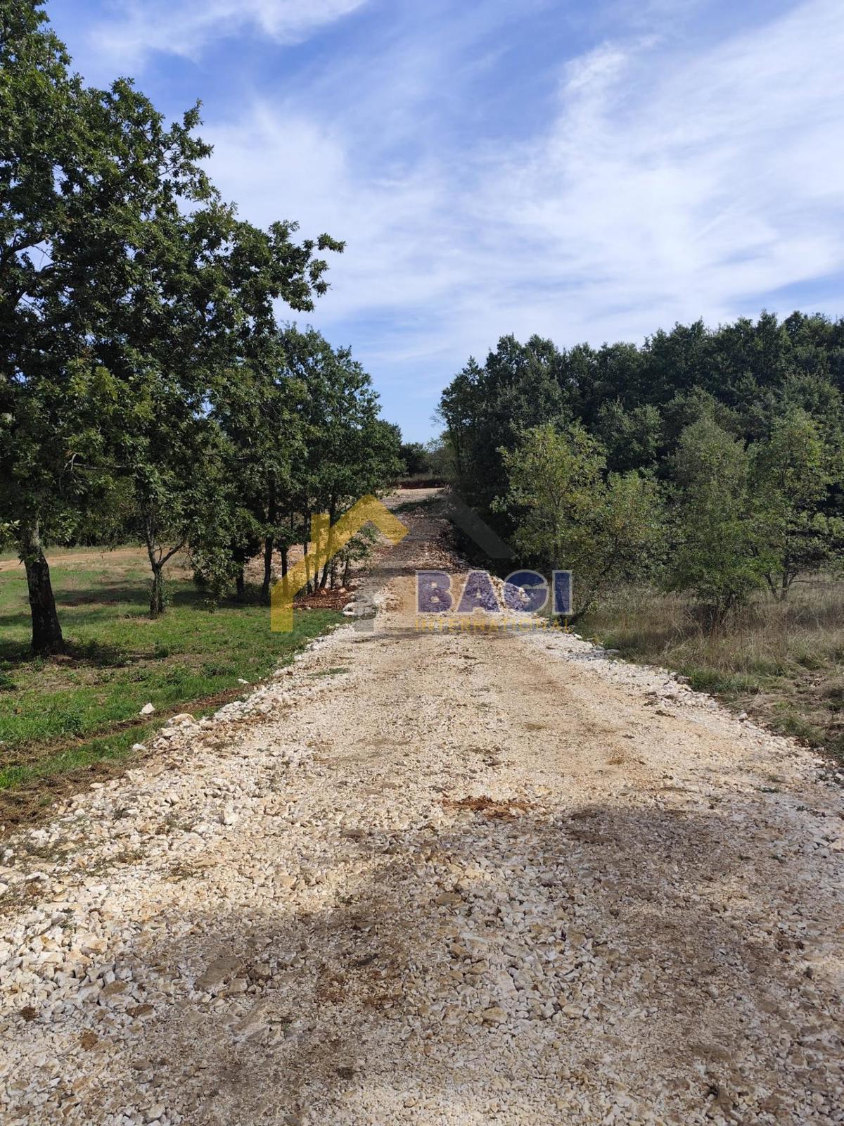 ROJNIĆI