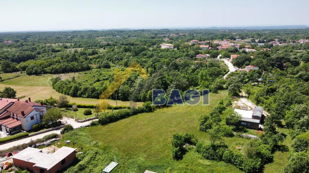 MODRUŠANI