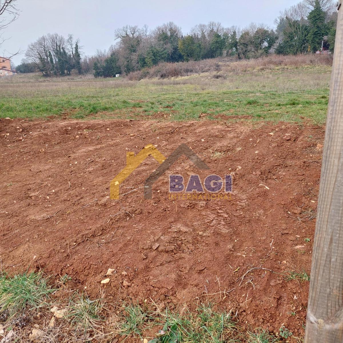 KRNICA