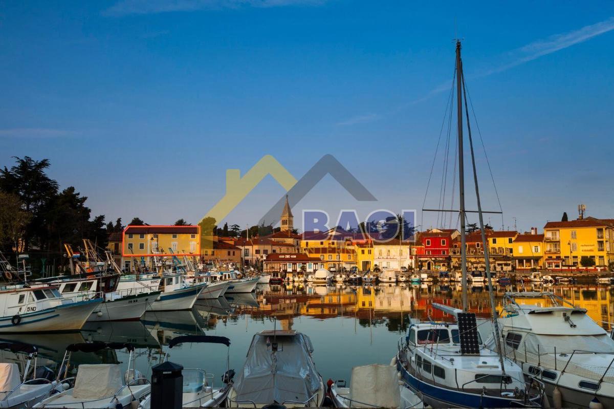 NOVIGRAD