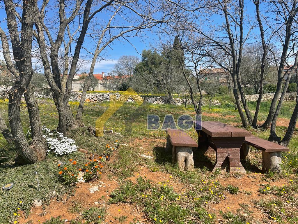 DIVŠIĆI