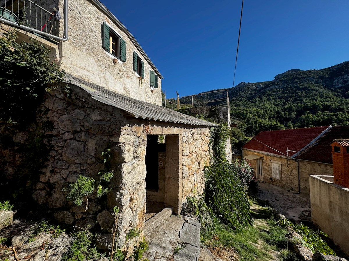 VRISNIK