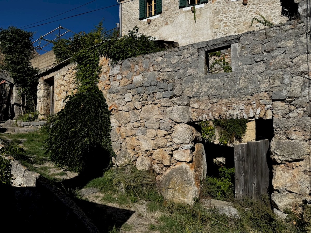 VRISNIK