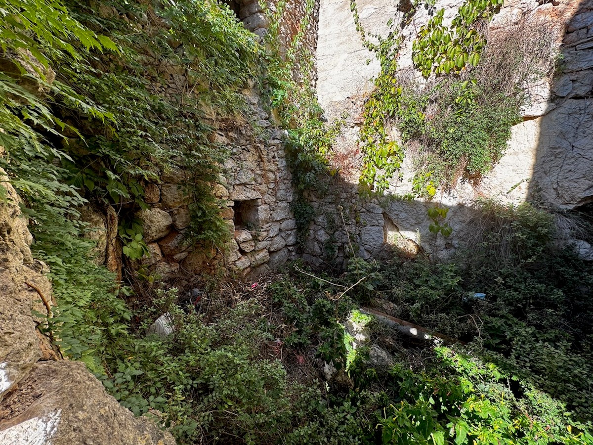 VRISNIK