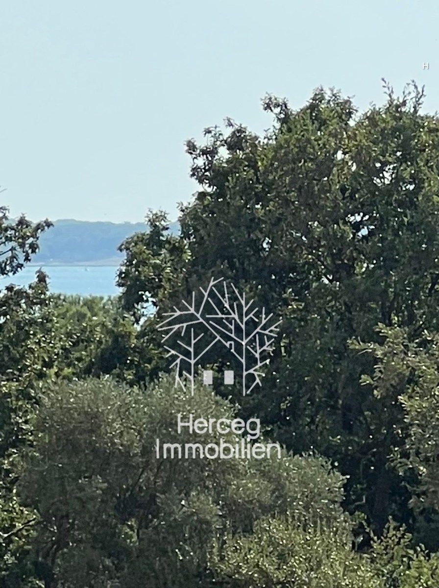 MEDULIN