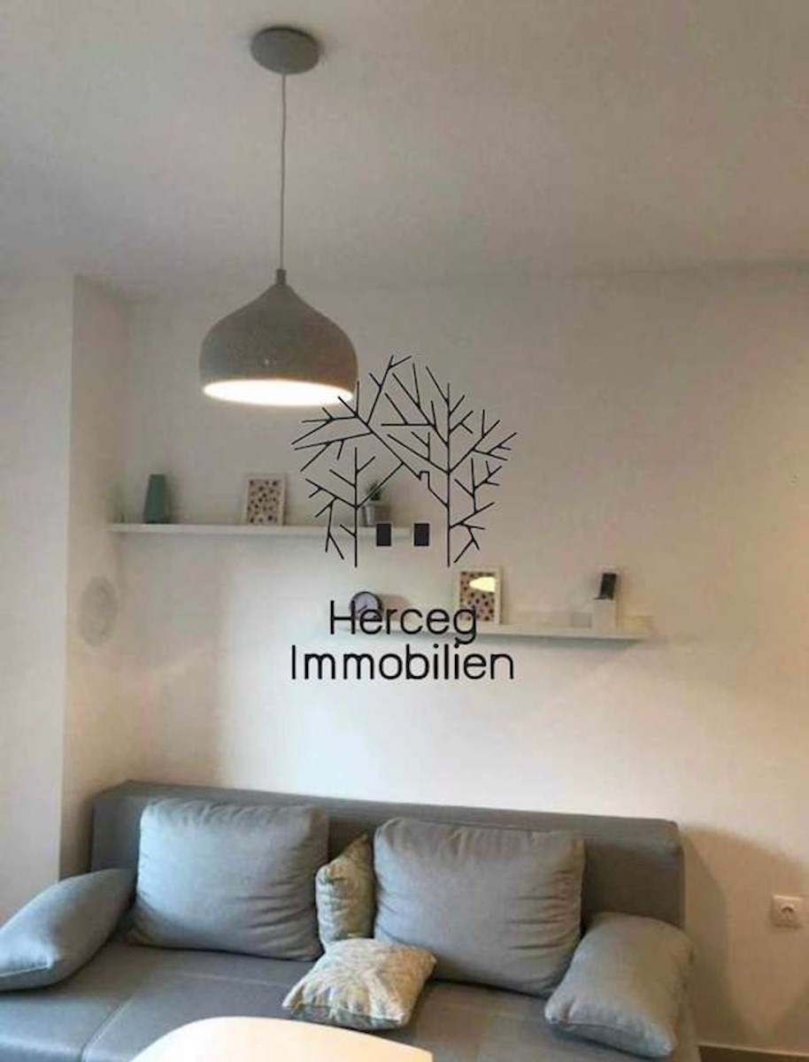 MEDULIN
