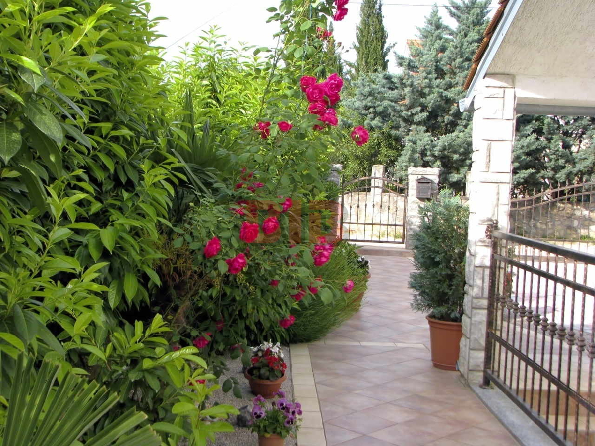 PINEZIĆI