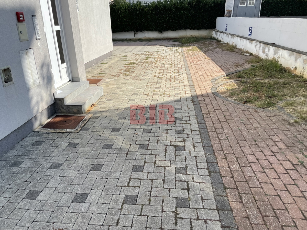 ČIŽIĆI