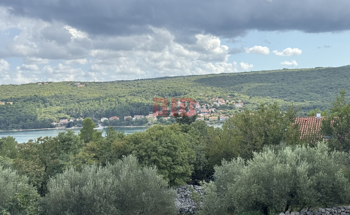 ČIŽIĆI