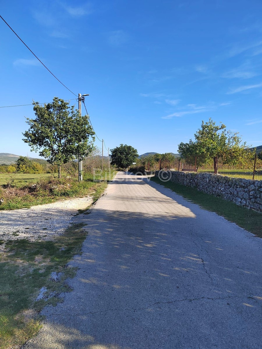 RADOŠIĆ