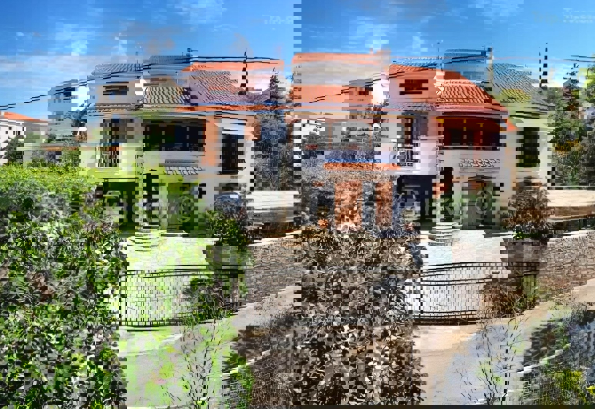 SEGET VRANJICA