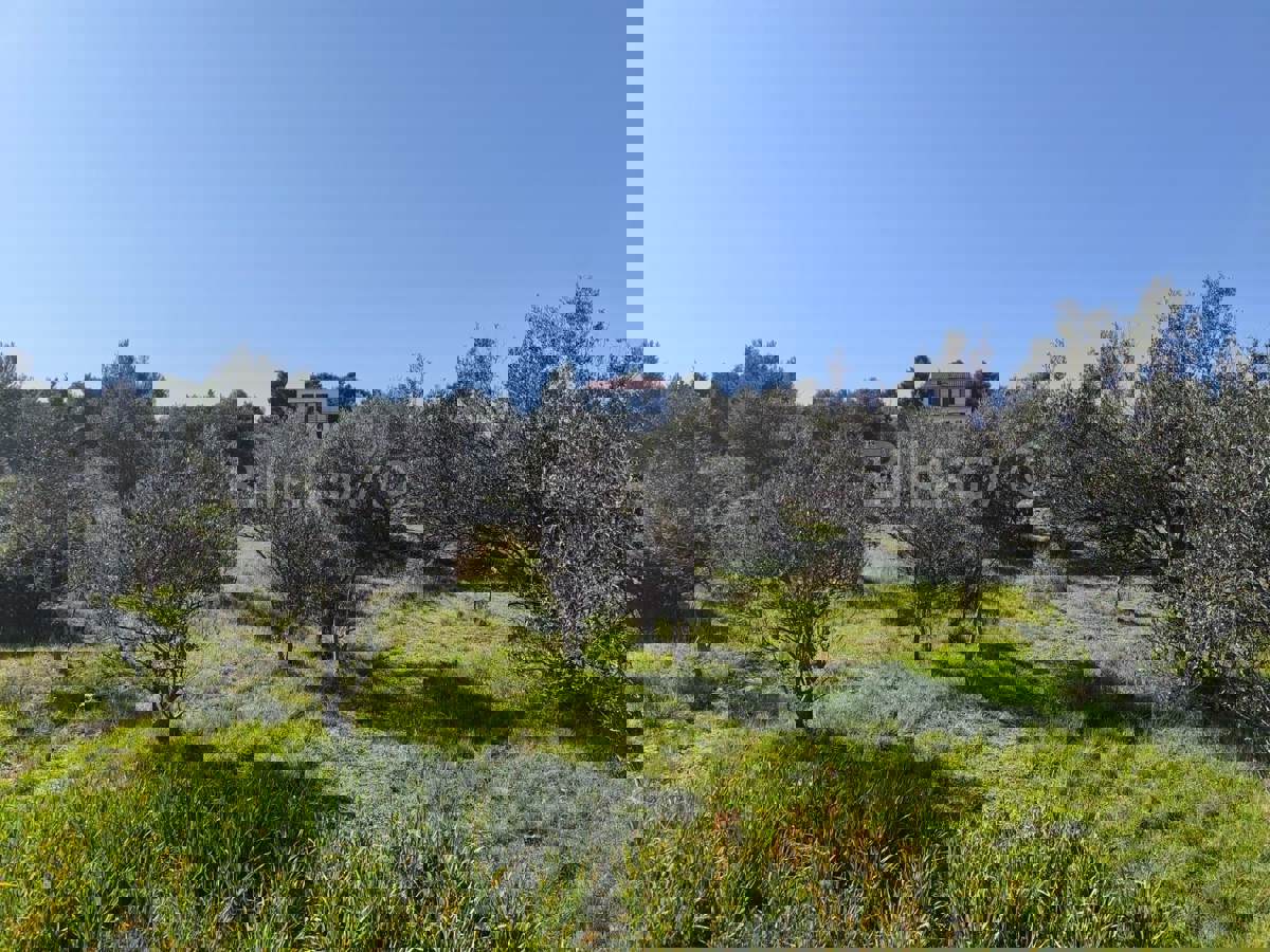 Участок VODICE, 63.000 €