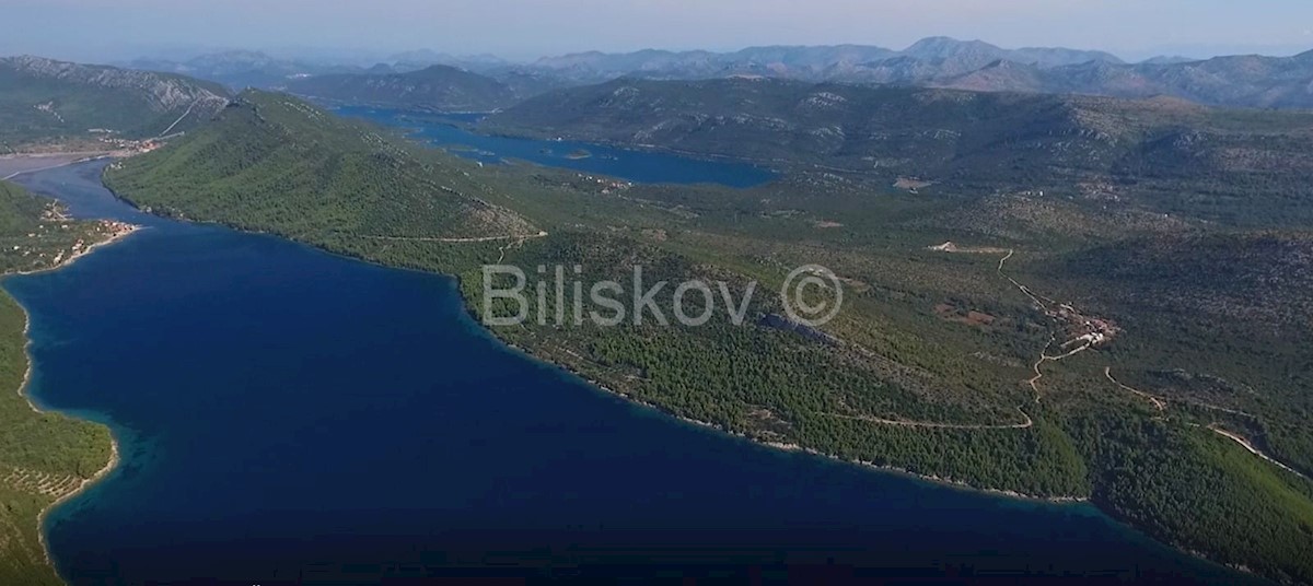 STON