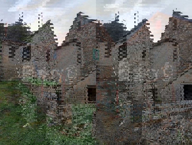 DOL