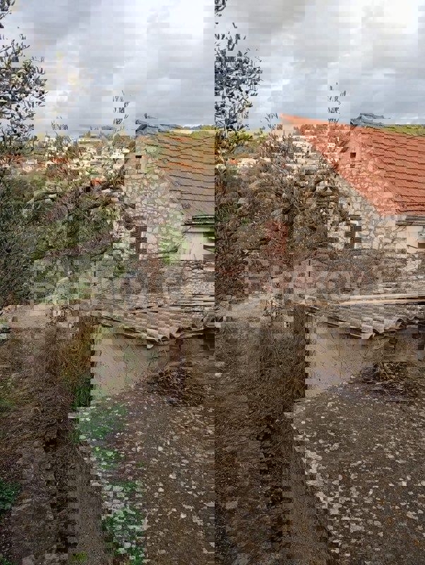 DOL