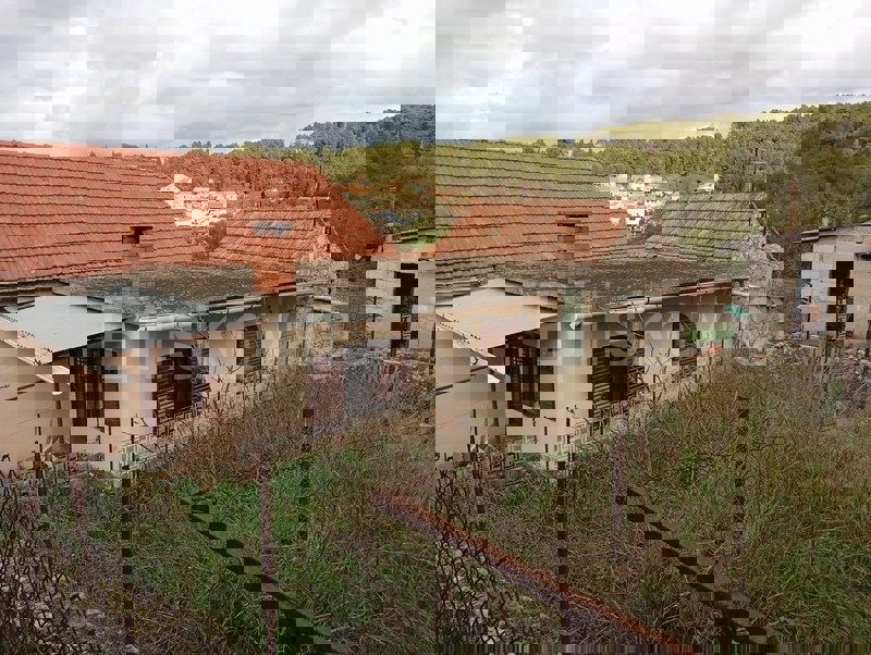 DOL