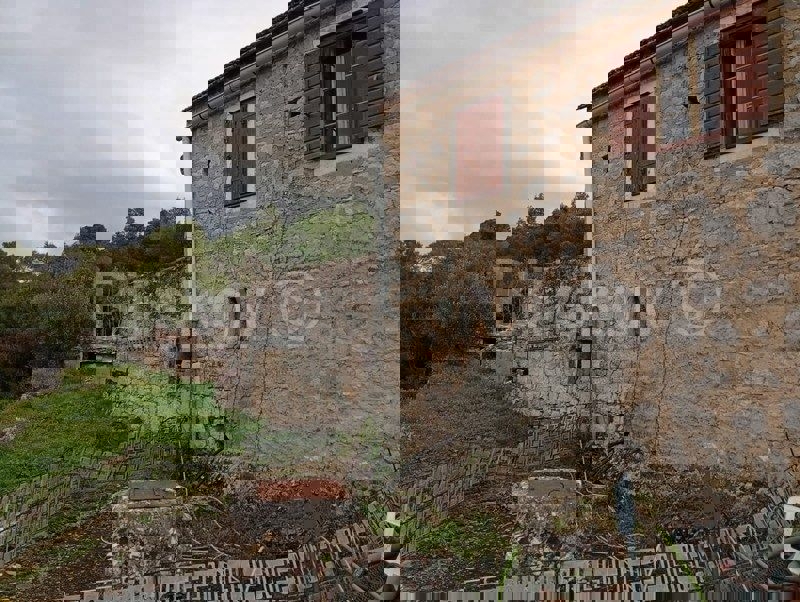 DOL