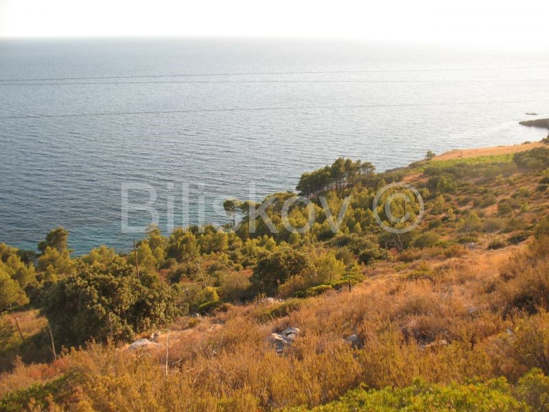 HVAR