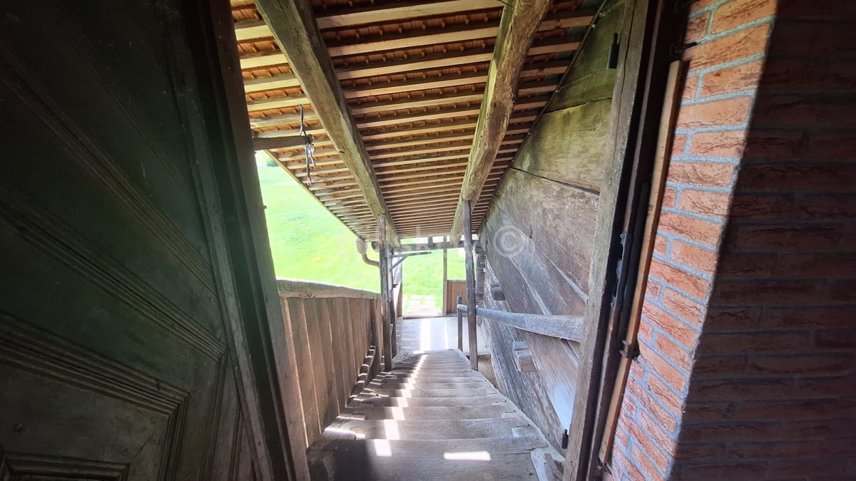 image 21