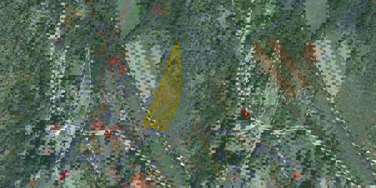 MARKUŠEVEC