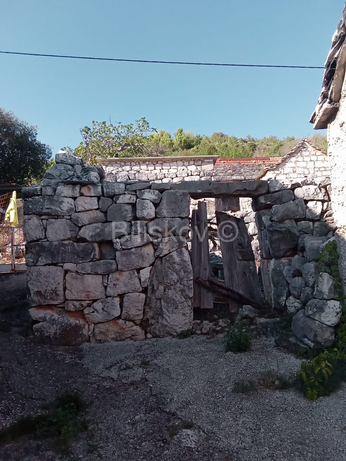 Prodaja,maslinik 1800m2 s kućom za adaptaciju,Mitlo-Vinovac – 3