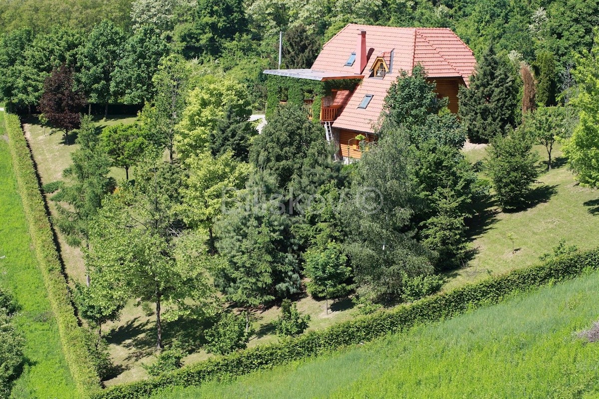 GORNJA VOĆA